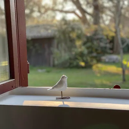 L Uni D 10 Pers Piscine Et Mini Ferme Proche Ocean Азур