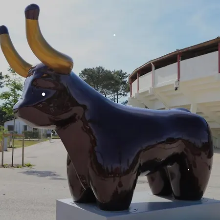 L Uni D 10 Pers Piscine Et Mini Ferme Proche Ocean * Азур