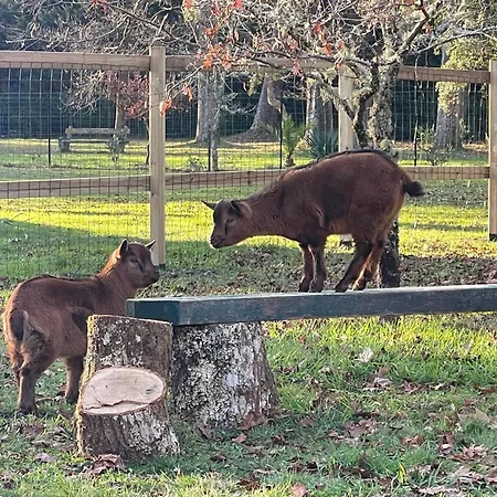 Дом отдыха L Uni D 10 Pers Piscine Et Mini Ferme Proche Ocean Азур