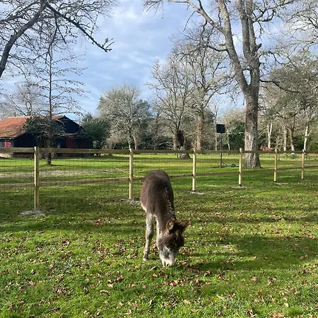 L Uni D 10 Pers Piscine Et Mini Ferme Proche Ocean *