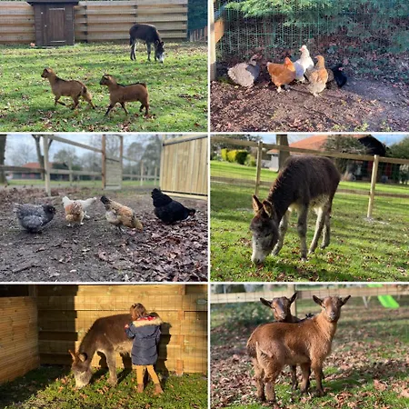 L Uni D 10 Pers Piscine Et Mini Ferme Proche Ocean