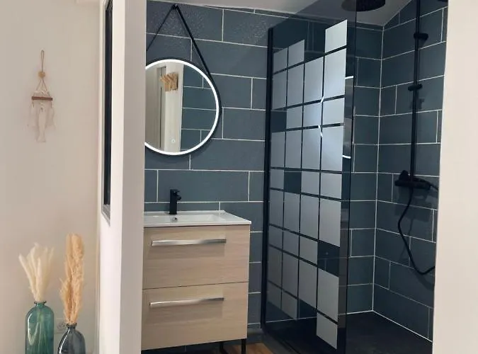 L Uni D 10 Pers Piscine Et Mini Ferme Proche Ocean * Azur