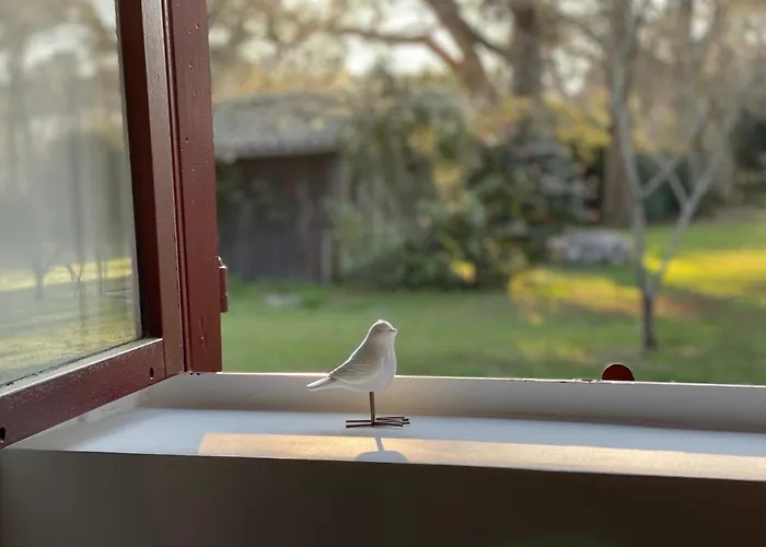 L Uni D 10 Pers Piscine Et Mini Ferme Proche Ocean Azur