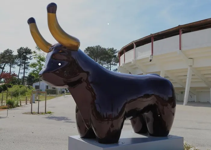 L Uni D 10 Pers Piscine Et Mini Ferme Proche Ocean * Azur