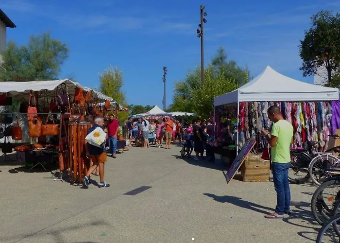 L Uni D 10 Pers Piscine Et Mini Ferme Proche Ocean Azur