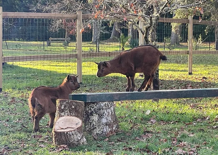 بيت للعطل L Uni D 10 Pers Piscine Et Mini Ferme Proche Ocean Azur