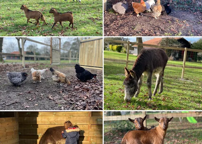 L Uni D 10 Pers Piscine Et Mini Ferme Proche Ocean